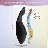 Dolphin Spine Corrector size,1.6KG, suitable for pilates